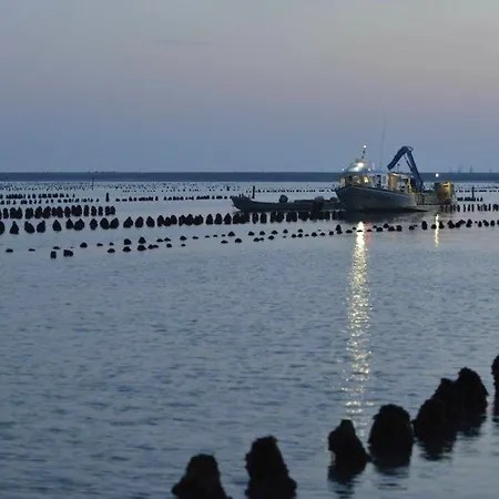 Maisonnette Avec Piscine, Animaux Acceptés à La Faute-sur-mer - Fr-1-194-329