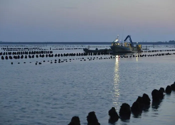 Maisonnette Avec Piscine, Animaux Acceptés à La Faute-sur-mer - Fr-1-194-329
