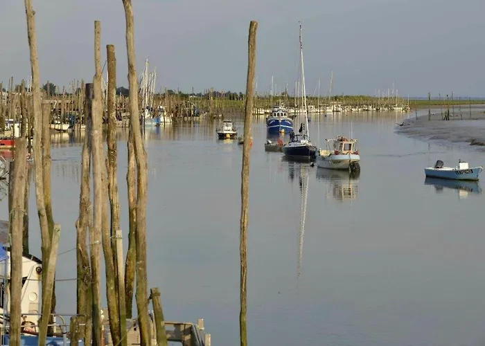 Maisonnette Avec Piscine, Animaux Acceptés à La Faute-sur-mer - Fr-1-194-329 La Faute-sur-Mer